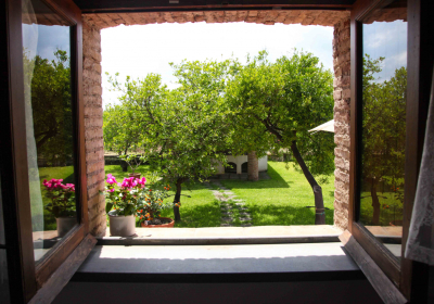 Agriturismo Galea